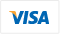 payments visa